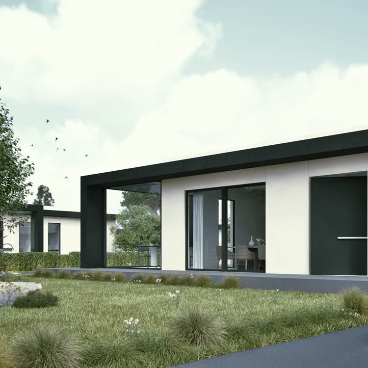 Nomentana quadrata specchiata dettaglio1